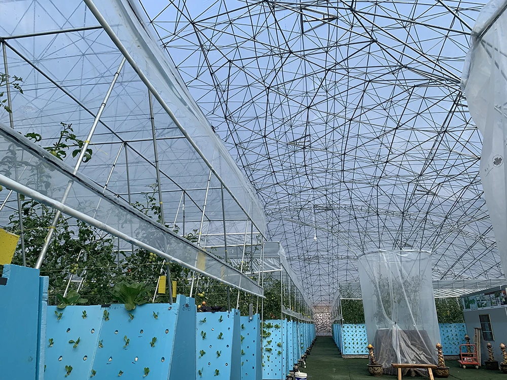 Factory Cheap Price Hydroponics Grow Kit Agricultural Ecological Garden Used Seed Plant grow Hydroponic seed sponge