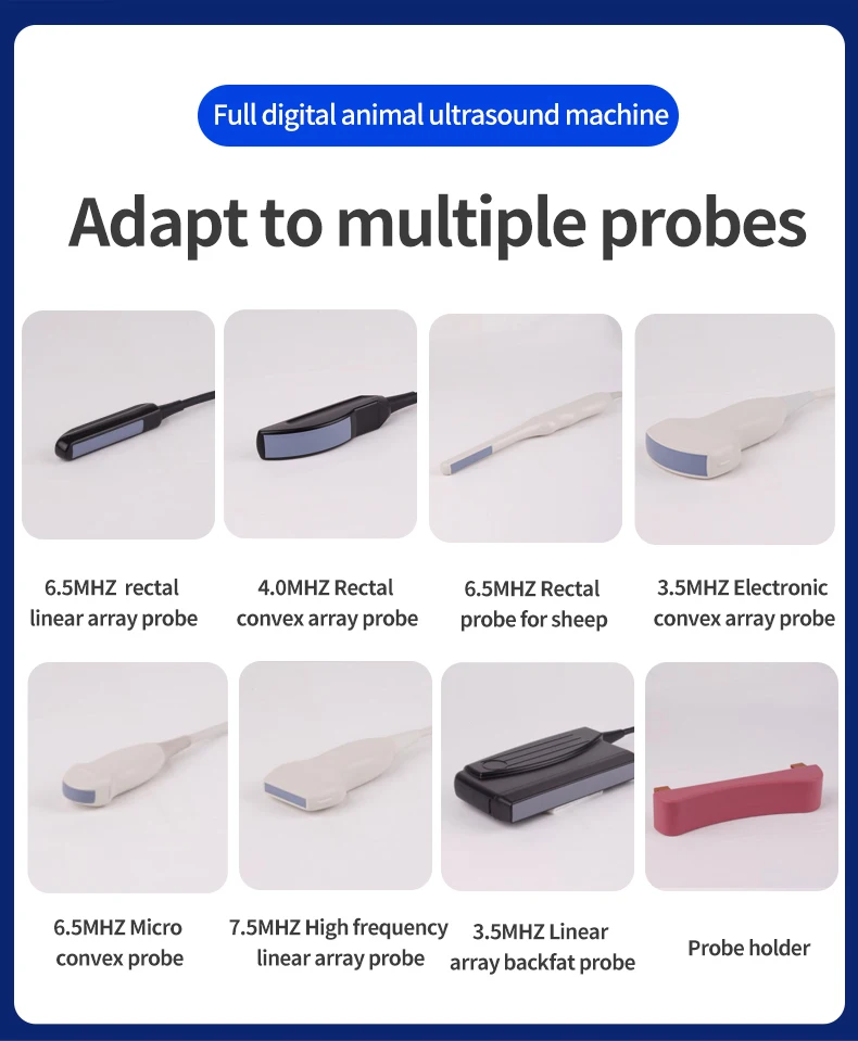 Ce Certified Portable Veterinary Handheld Ultrasound High Resolution Animal Echo Device For Cattle, Horse