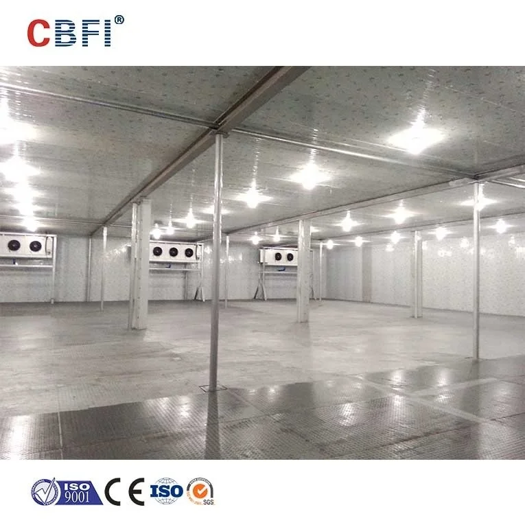 Big Storage Cold Room/Freezer Room for Logistics Market