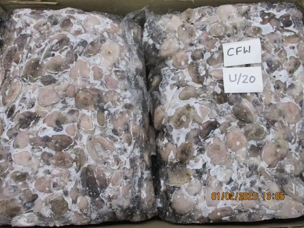 Детская гребешка, полностью очищенная, IQF