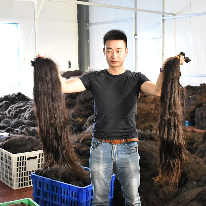 Wholesale Unprocessed Free Sample 100 percent Human Hair Bundles Raw Virgin Cuticle Aligned Hair