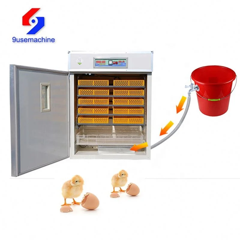 Durable incubator for egg hatching bird egg incubator temperature humidity controller egg incubator for sale