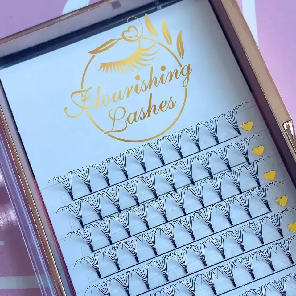 Premium Korean Pbt Silk Lashes d Curl Eyelash Extensions 2024 Lashes Custom Deep Black Pre Made Fans Eyelashes