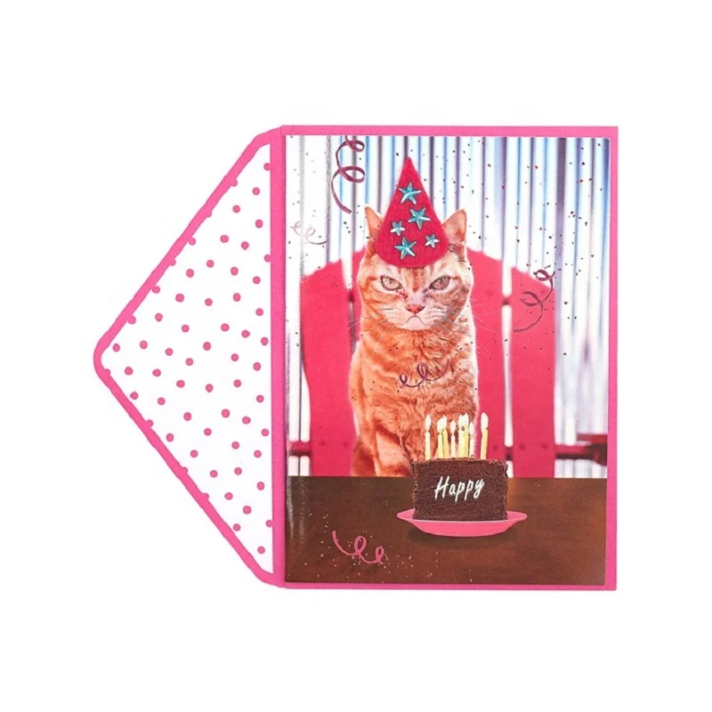 Humorous Bossy Cat Birthday Cards, Funny Animal Handmade Custom Printing Greeting Cards