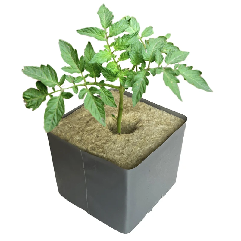 Hot Sale 8*8*8 Inches Hydroponics Rock Wool Cubesv200x200x200mm Stone Wool Hydroponics Growing Cubes