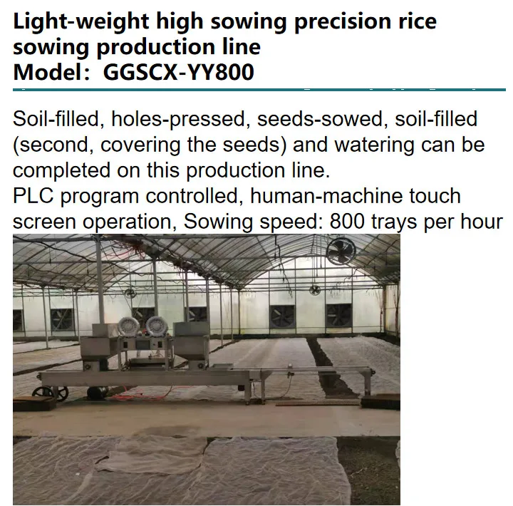 automated needle seeder for  rice seeds with high productivity 800 trays per hour exported to Europe and Middle East