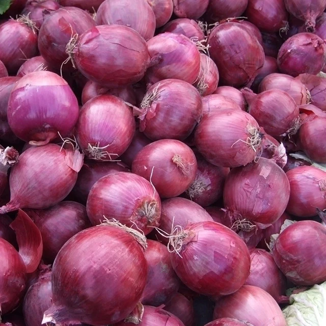  Свежие овощи и сельскохозяйственные продукты из Китая лук красной