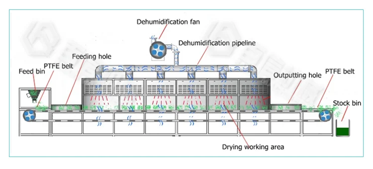 Factory offer microwave larva black soldier fly dryer drying machine