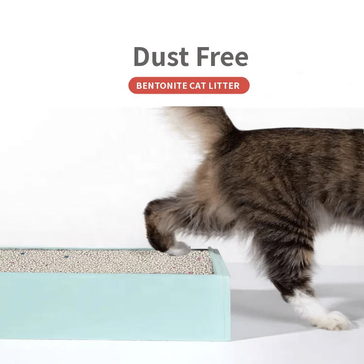 Best-Selling cat sand OEM pet product dust free super clumping bentonite cat litter