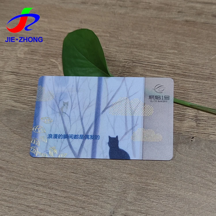 Custom Credit Card Size Clear Frosted PVC Transparent Business Visiting Cards