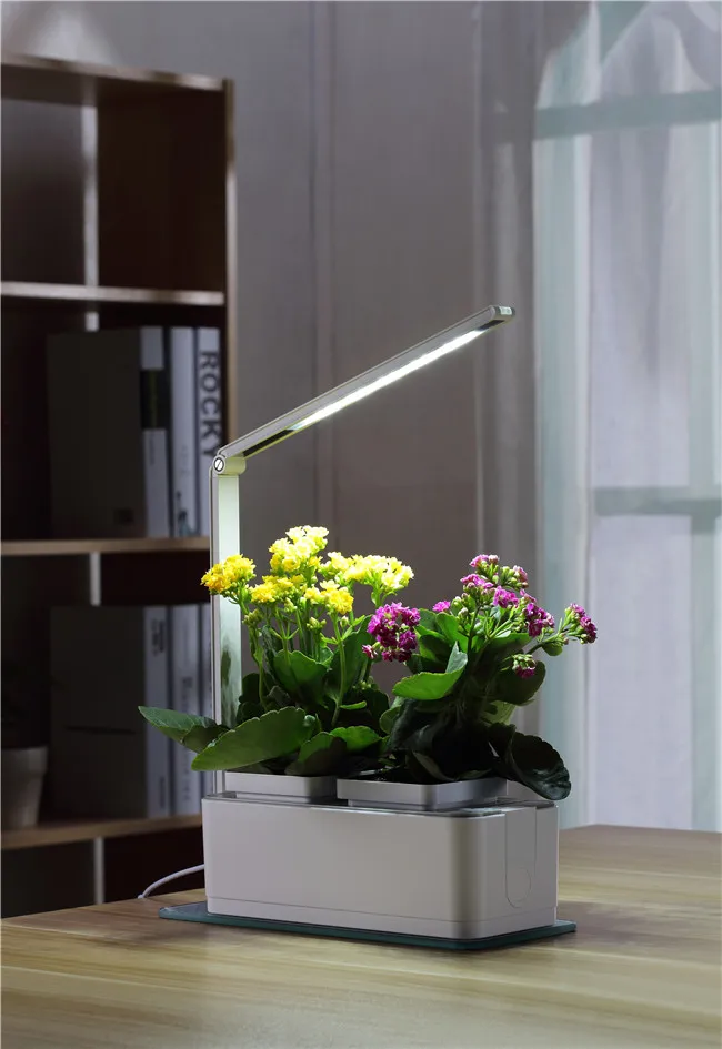 
indoor table plants grow lights for indoor plants organic hydroponic growing systems mini smart home garden LED growing light 
