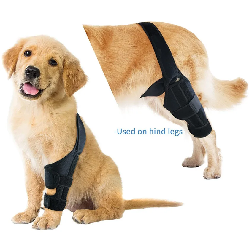 Custom Logo Neoprene Pet Knee Support Straps Adjustable Rear Leg Knee Pads Injury Protector Dog Knee Brace