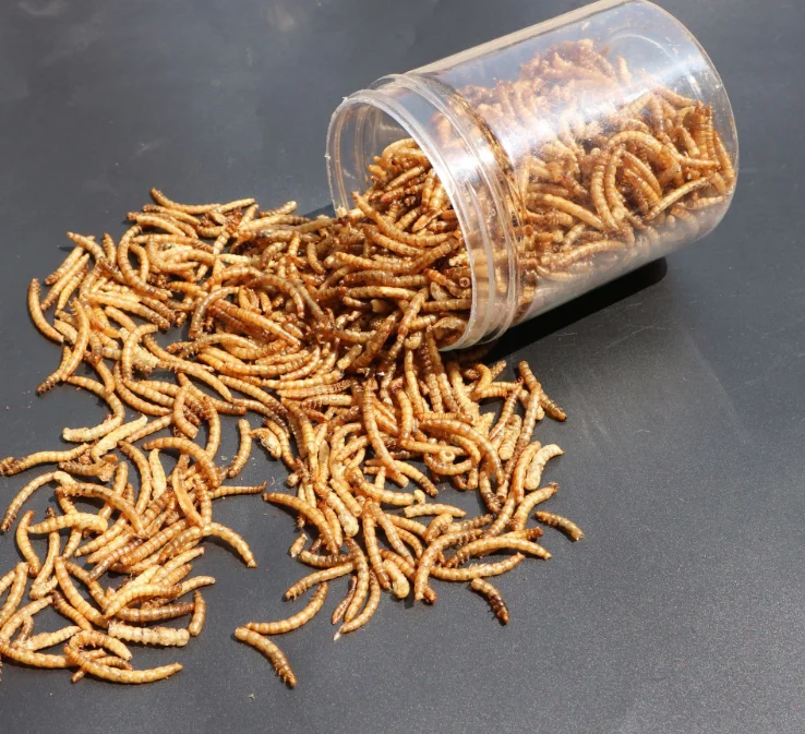 Сушеный мельница с высоким содержанием белка сушеный для небольших пищевых продуктов домашних животных