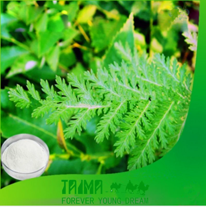 Artemisia Apiacea экстракт Annua L 99% Artemisinin Qing Hao порошок