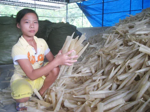 Распродажа сушеных рыбных пузырей/Высокое качество fish maw / Ms праздничные-Whatsapp + 84 845