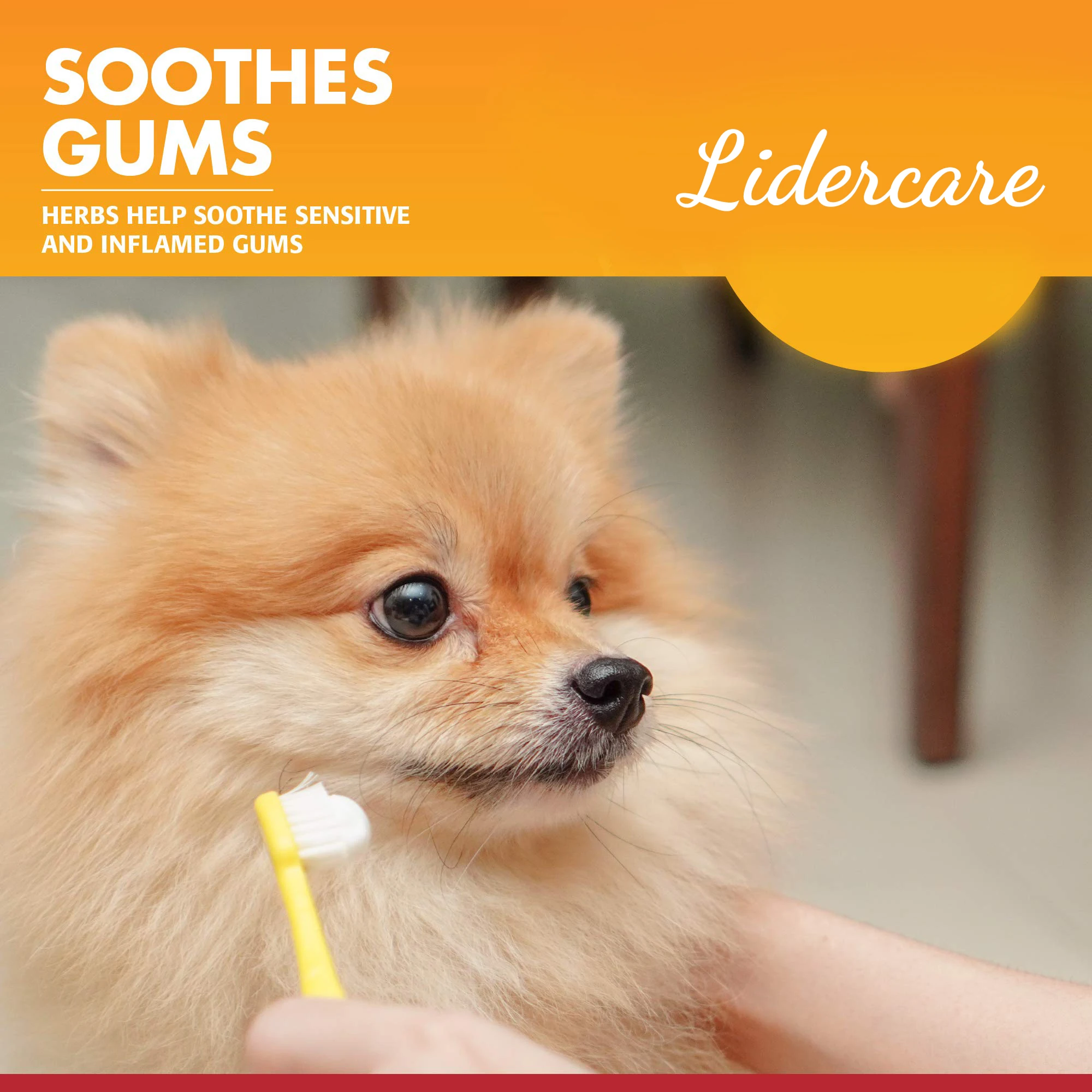 Professional Veterinary Recommendation Organic Dog Toothpaste For Pet Fresh Breath Remove Odors Pets Toothpaste