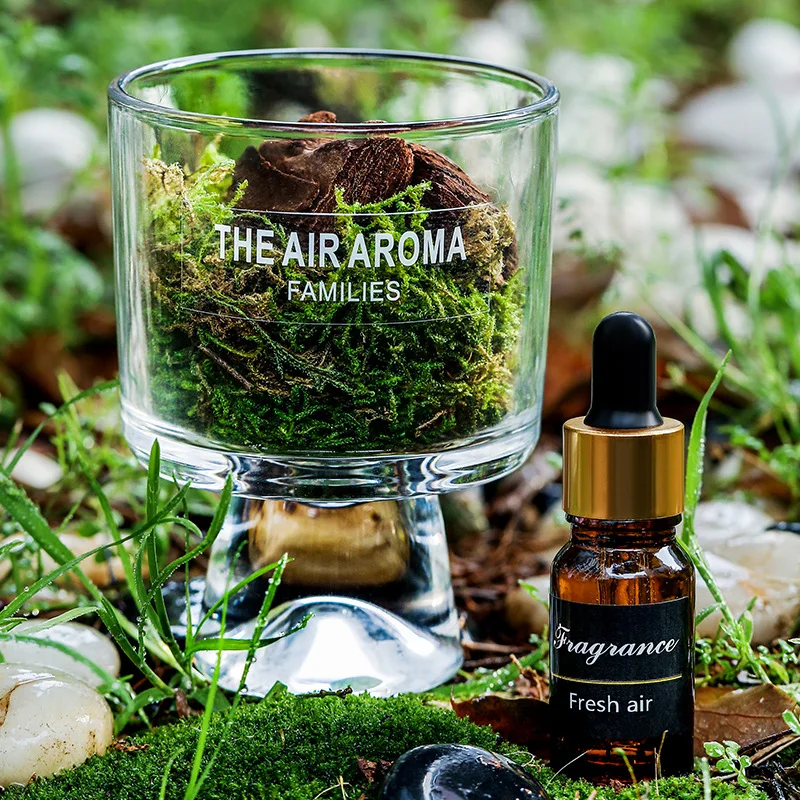 Natural Moss Mini Forest Aromatherapy Modern Home Decor Interior Air Aroma Fragrance Diffuser