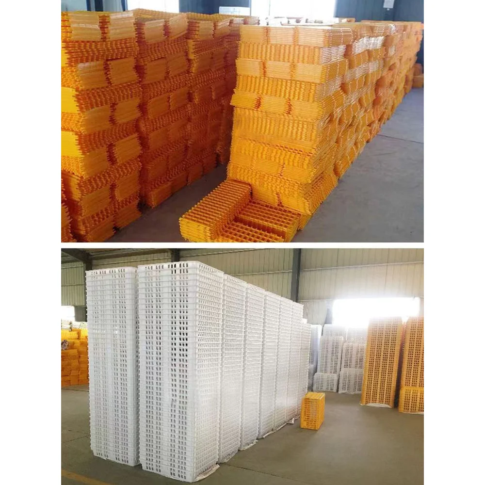 Chicken Duck Goose Pigeon Rabbit Quail Cage with PP Plastic Turnover Basket Can Open Door or Side Door Livestock Cage-Used