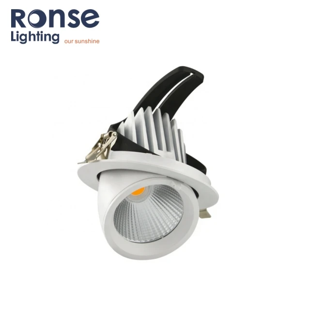 RONSE Rotate LED Trunk Light Elephant Recessed Lamp Adjustable COB LED Spot Down Light Spotlights  Gimbal LED downlight