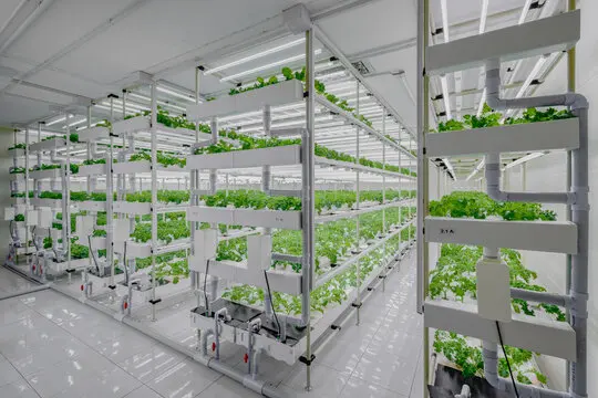 Skyplant автоматизированные поставщики сельскохозяйственных теплиц высокого качества Вертикальная сельскохозяйственная система гидропоники