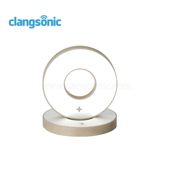 
Clangsonic Piezoelectric Ceramic for Ultrasonic Welding Zirconia 