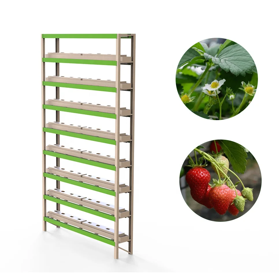 OMANA newly arrived  vertical ecology growing hydroponic vegetable kit system