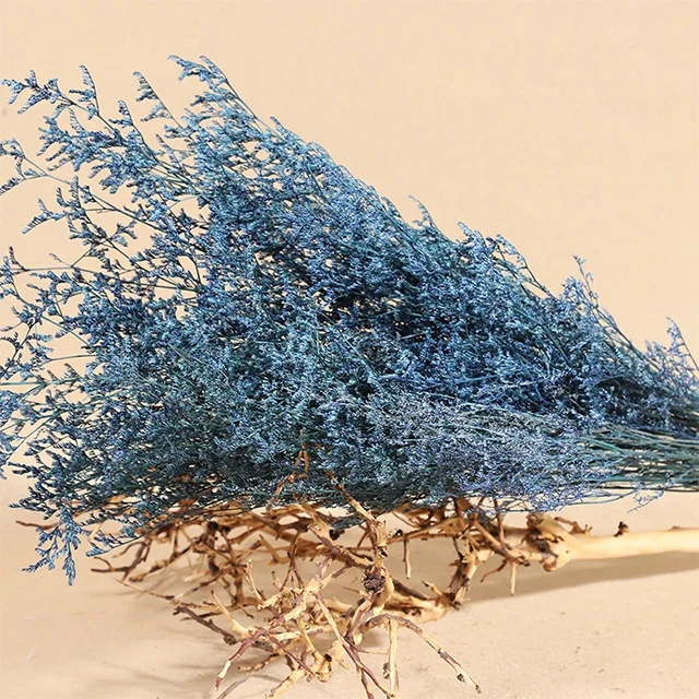 Caspia Preserved Flowers Limonium Stems Dried Flowers Craft Supplies Floral Home Wedding Decor Florals for Vase DIY Flowers