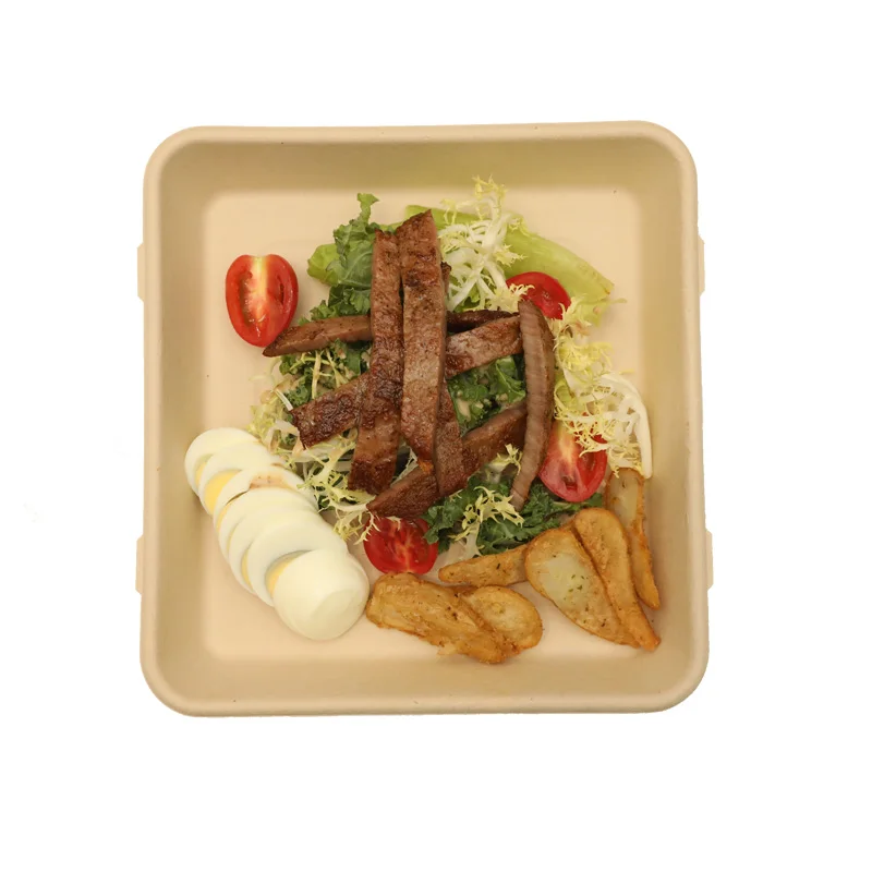 Food Grade 100% Biodegradable Bamboo Pulp Containers Disposable Trays With