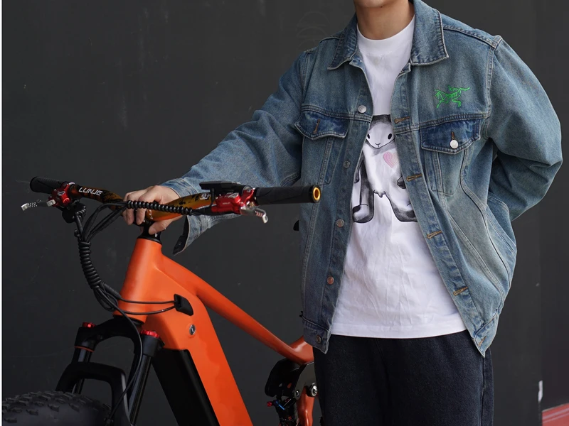 2020 Wholesale belt drive Bafang Ultra Fat Tire Bike / M620 G510 Fat Tire Ebike / 48V 1000W Mid Drive Motor Electric Bicycle