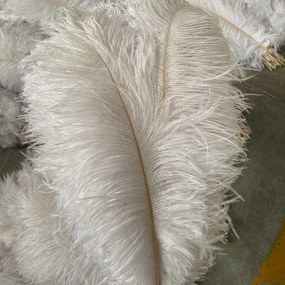 Eco-friendly Cheap 18-20 inch dyed high quality colored Ostrich Drabs Feathers Decoration For Sales