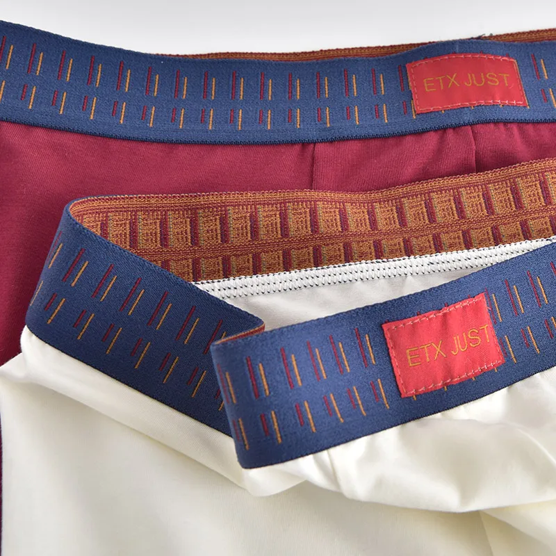 OEM/ODM Custom Logo Mens Cotton Underwear Shorts Briefs Breathable Boxers for Men