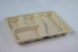 Food Tray Lunch Box Tray For Fastfood