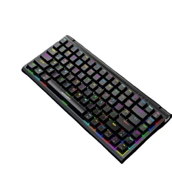 Mechanical Keyboard Gaming Microprocessor Hot Swap Switches Gaming Custom Mechanical Keyboard