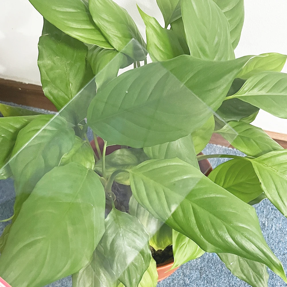 High Transmittance 99% Low Reflectivity Anti Reflective Glass AR Glass Tempered Extra Clear