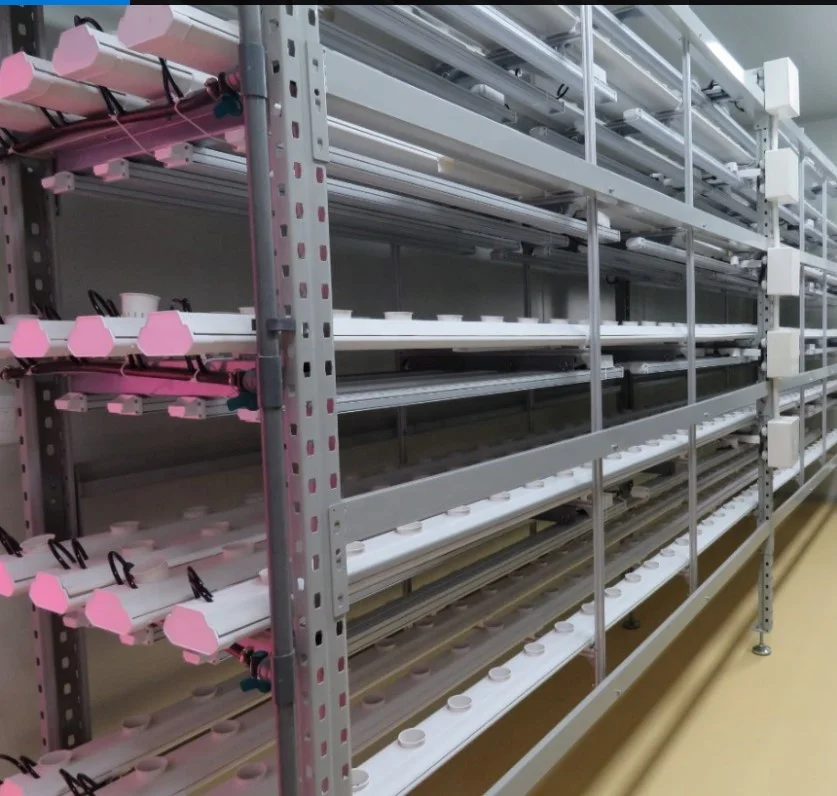 Greenhouse Controller