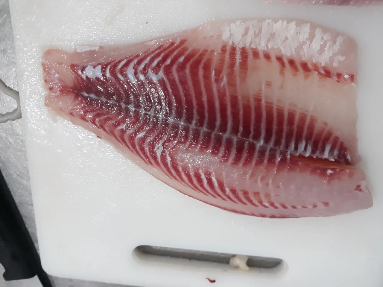 Новый сезон цельная круглая замороженная черная тилапия