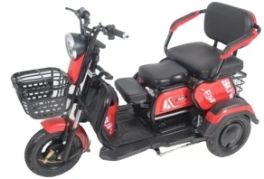 China manufacturer  electric tricycle low price import three fat wheel for passenger adult