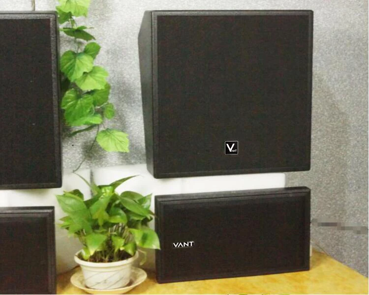 DM0820 Full pa System Set for Church Cinema 5.1 Stereo Surround Sound Home Living Room Home Cinema Speakers Wall Mounted Audio