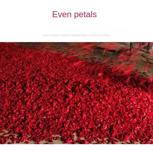 Wholesale rose dried petals hot spring milk bath petals bath supplies 50g/pack