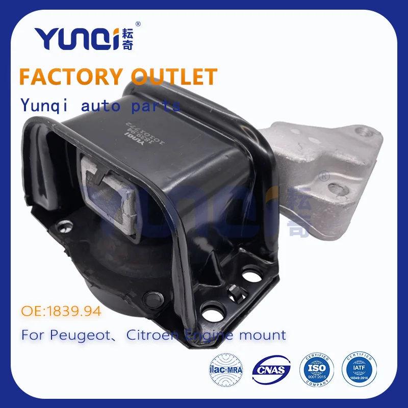 1839,94 автозапчасти, детали для двигателя Citroen PEUGEOT 307 (3A/C)