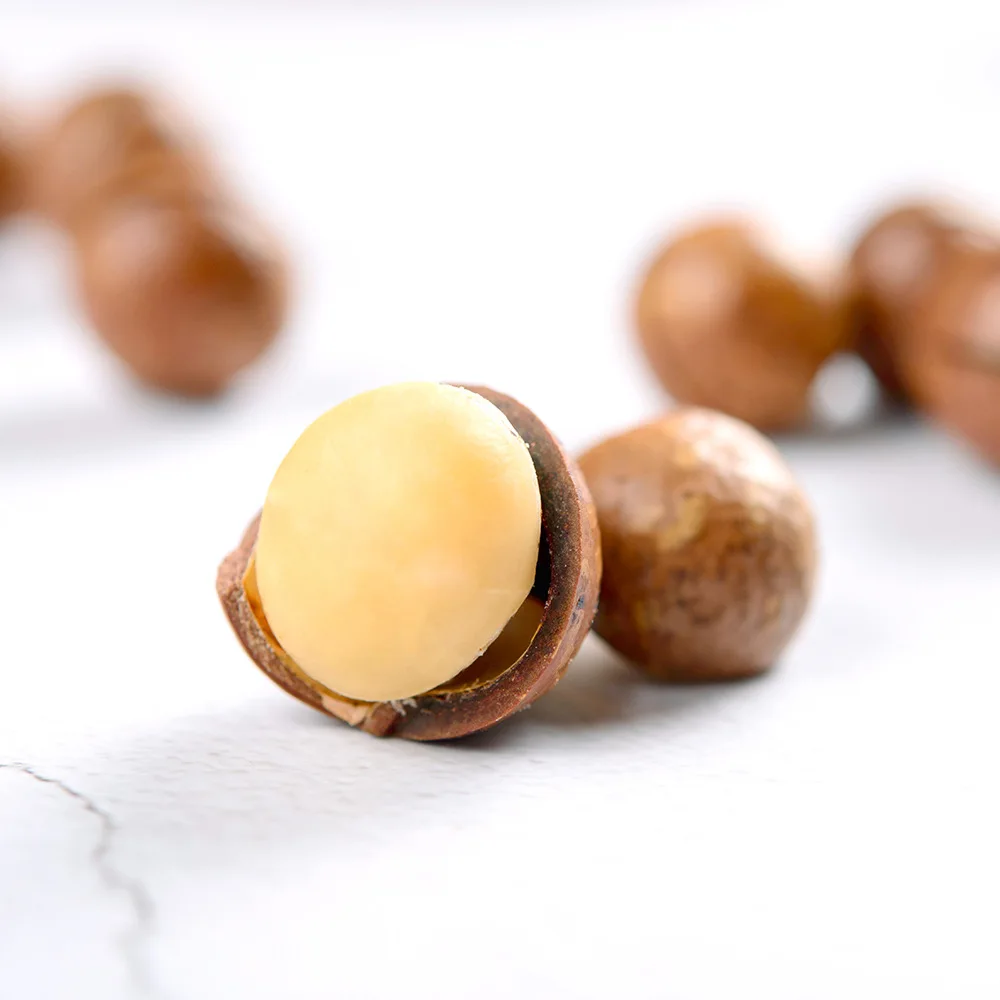 Macadamia nut in the shell large pellets Shelled macadamia nut snack