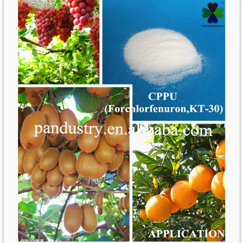 Цена по прейскуранту завода-изготовителя регулятор роста растений CPPU KT-30 Forchlorfenuron 99% TC