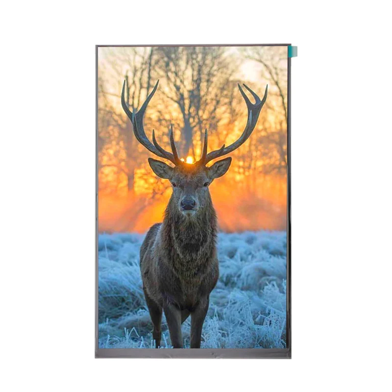 10.1 inch capacitive touch screen Factory Price TFT LCD 1280*800 MIPI 10.1 inch capacitive touch screen