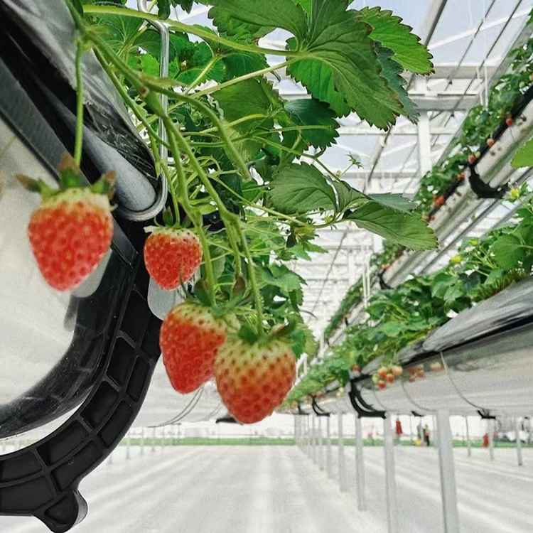 Hot Sale Agricultural Greenhouse strawberry gutter Used Hydroponic PVC Trough Hydroponic Planting Gutter For Strawberry
