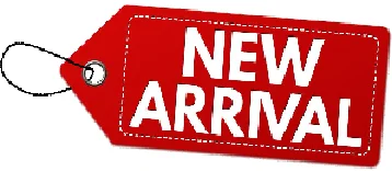 Video Conference 3X/10X Optical Zoom Wireless PTZ System Camera