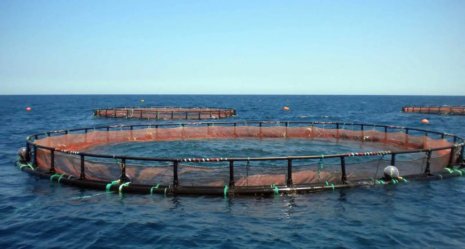 HDPE Floating Fish Cage Tropical Offshore Deep Sea Circular Aquaculture Cage