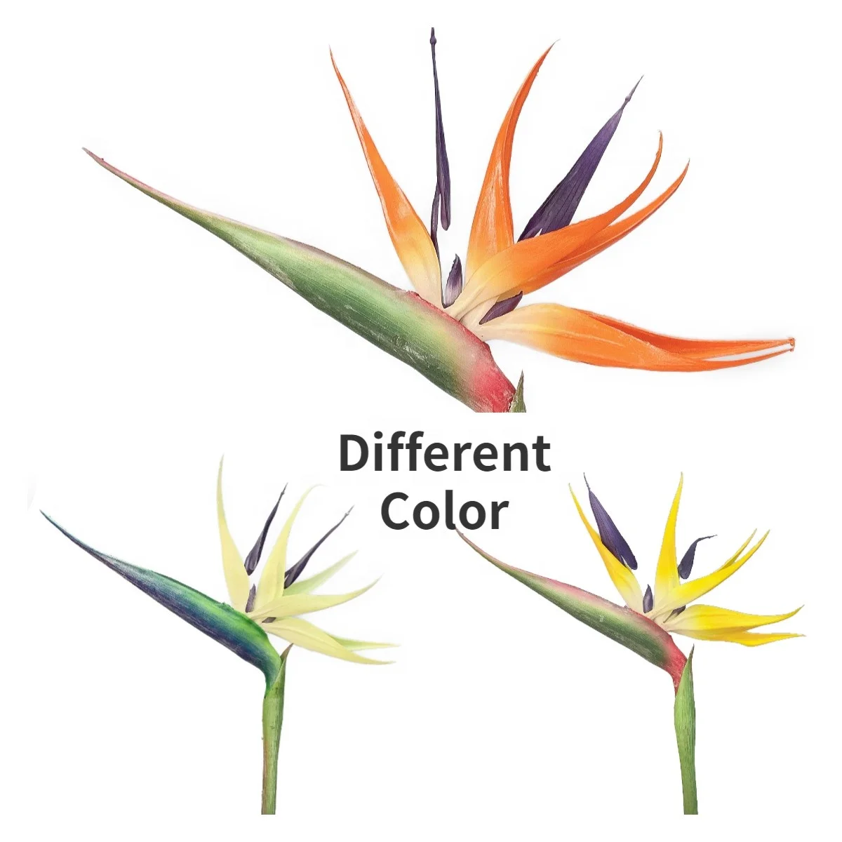  Искусственный цветок птица рая для украшения дома оптовая продажа с фабрики