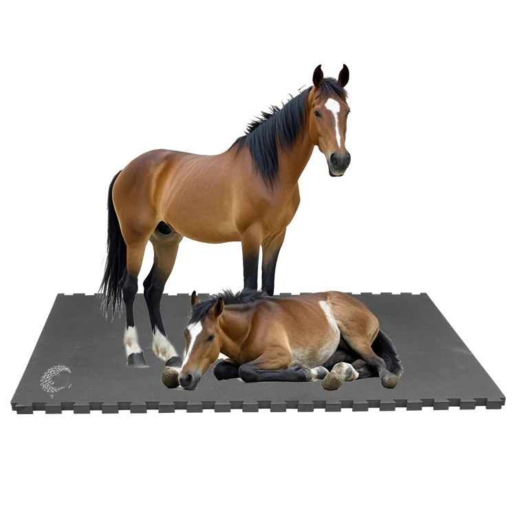 Non-toxic Horse stall mats Injury rate decrease EVA Material Livestock enclosures mat Low thermal conductivity Horse mat