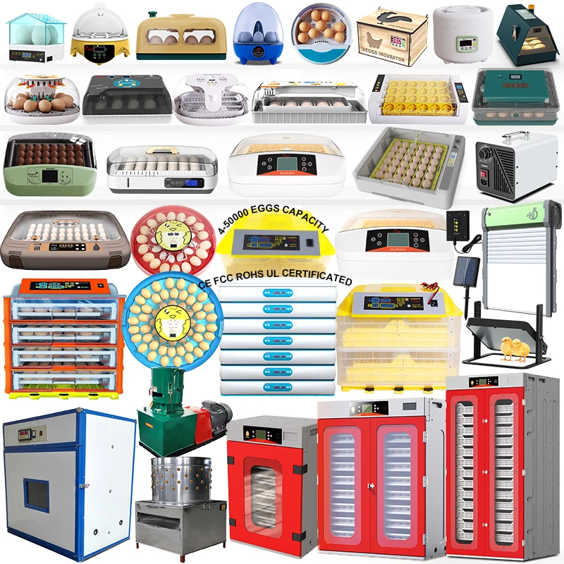 Full Automatic Mini 6 56 72  Eggs Capacity 12 Volt Heater Incubator Hatching Machine in Germany Indonesia Morocco Lebanon