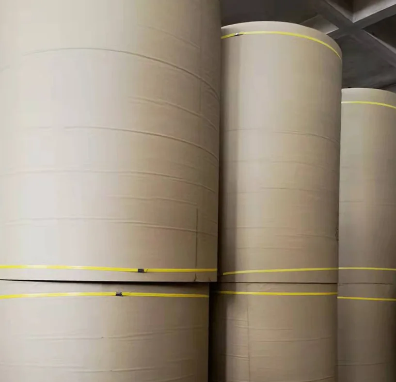 Factory Wholesale High Quality Food Grade Kraft Paper Roll for Baking Paper Raw Material PE Natural Waterproof Packaging Food